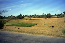 Enlarge photo 232