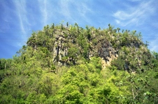 Enlarge photo 258