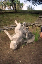Enlarge photo 114