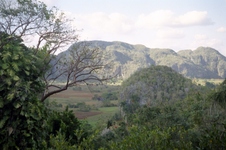 Enlarge photo 163