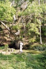 Enlarge photo 115
