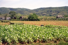 Enlarge photo 235