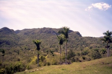 Enlarge photo 260