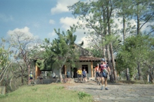 Enlarge photo 361