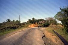 Enlarge photo 261