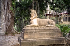 Enlarge photo 117