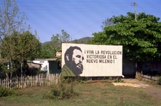 Enlarge photo 262