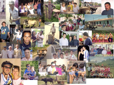 Enlarge photo 339