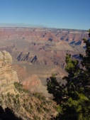 Enlarge photo 41