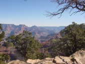 Enlarge photo 63