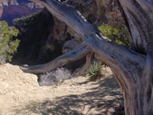 Enlarge photo 73