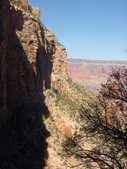 Enlarge photo 110