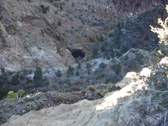Enlarge photo 145