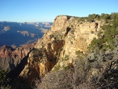 Enlarge photo 153