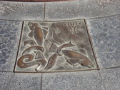 Enlarge photo 20