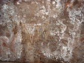 Enlarge photo 42