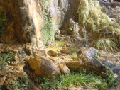 Enlarge photo 61