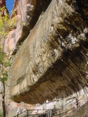 Enlarge photo 62