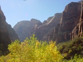 Enlarge photo 64