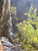 Enlarge photo 65