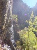 Enlarge photo 66