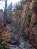 Enlarge photo 83