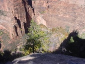 Enlarge photo 86