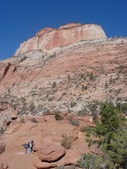 Enlarge photo 42