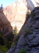 Enlarge photo 95