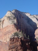 Enlarge photo 97