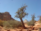 Enlarge photo 44