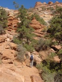 Enlarge photo 45