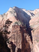 Enlarge photo 99