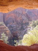 Enlarge photo 51