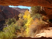 Enlarge photo 30