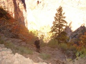 Enlarge photo 77