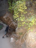Enlarge photo 105