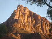 Enlarge photo 110