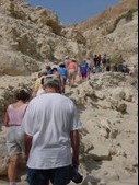 Enlarge photo 17