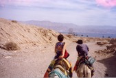 Enlarge photo 14
