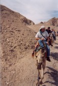 Enlarge photo 15