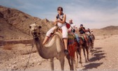 Enlarge photo 22