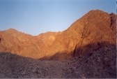 Enlarge photo 41