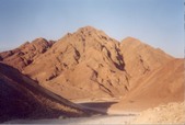 Enlarge photo 25