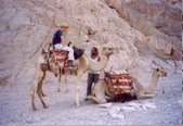Enlarge photo 1