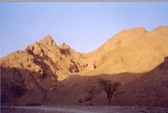 Enlarge photo 30