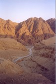 Enlarge photo 46
