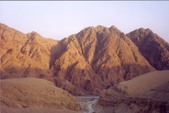 Enlarge photo 47