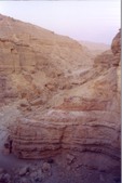 Enlarge photo 37
