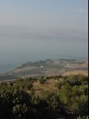 Enlarge photo 98